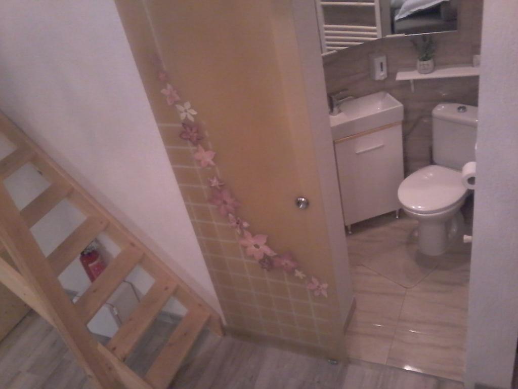 Duplex Alexander Apartment บราชอฟ ภายนอก รูปภาพ